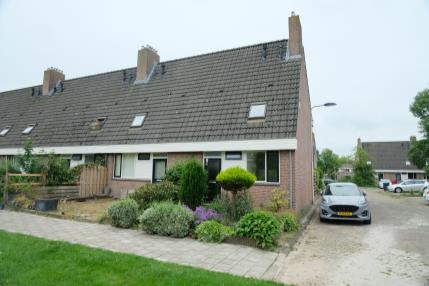 Zwanebloem 7 
