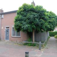 Weide 11 Leerdam