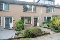 Korenbloem 58